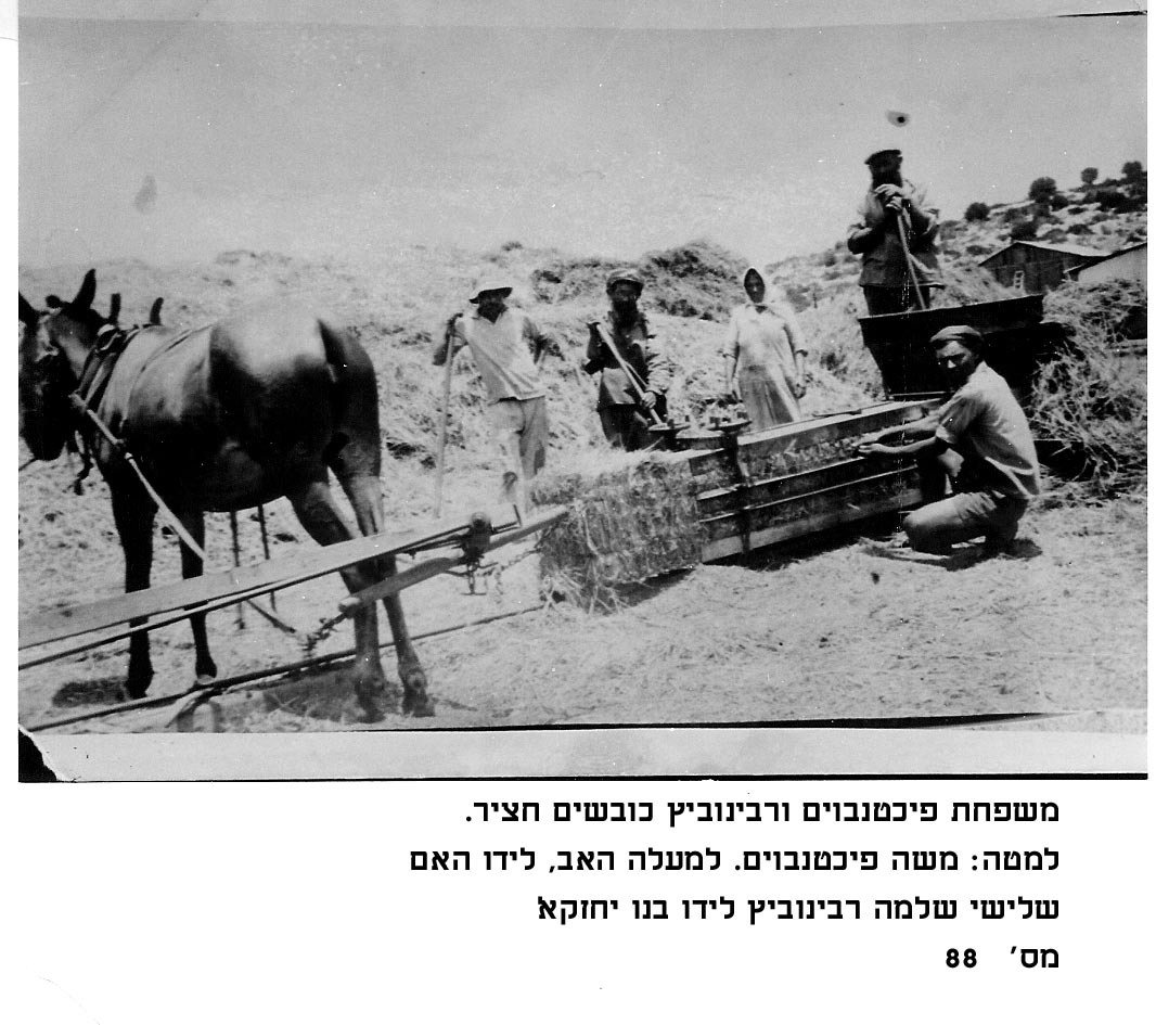 תמונות מהעבר