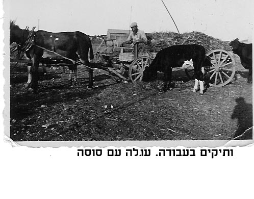 עבודות בכפר