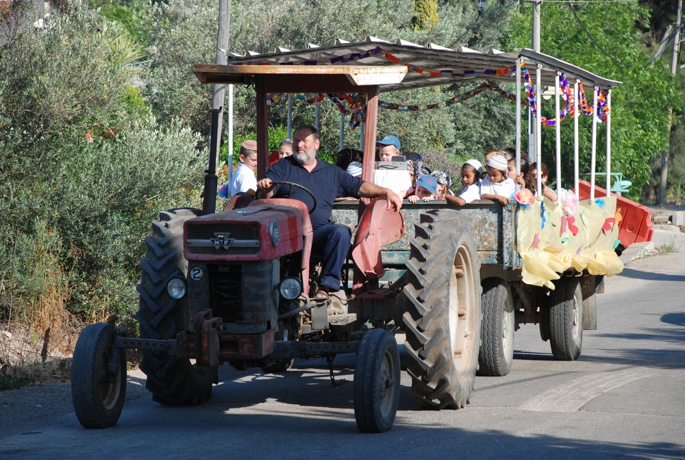 שבועות 2011 בכפר חסידים