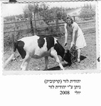 תמונות מהעבר