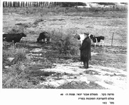 תמונות מהעבר