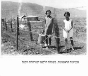 תמונות מהעבר