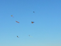 עפיפוניאדה 2012(7 תמונות)