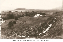 הקישון מככב(7 תמונות)