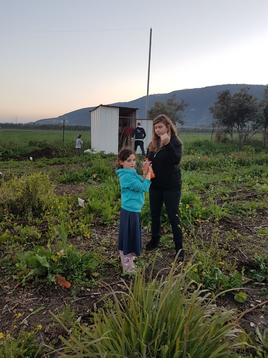 נועה שביב, הקומונרית של 'ביחד' מנסה לאסוף את הצאן