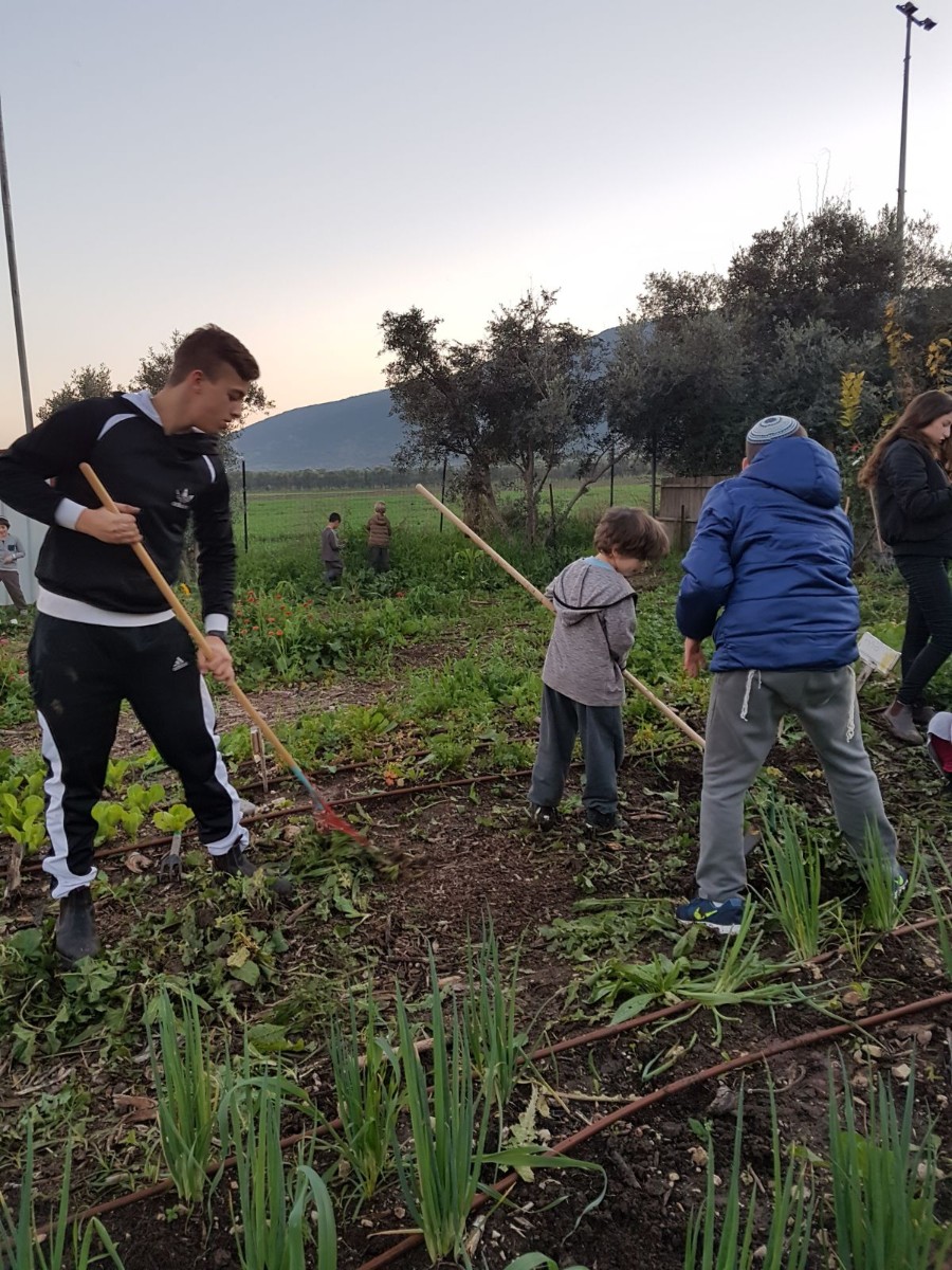 רז פייר שעושה שעות מחויבות אישית בגינה, גם תורם מעל ומעבר ללא קשר