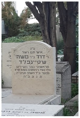 שטיינפלד דוד - מצבה