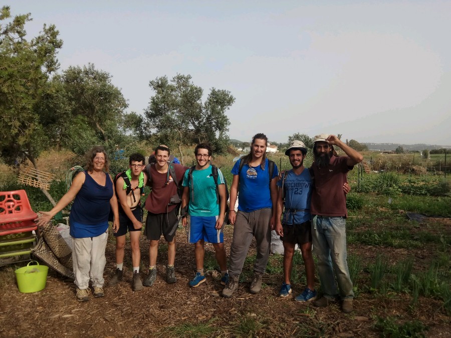 המתנדבים בע"מ -מלח הארץ