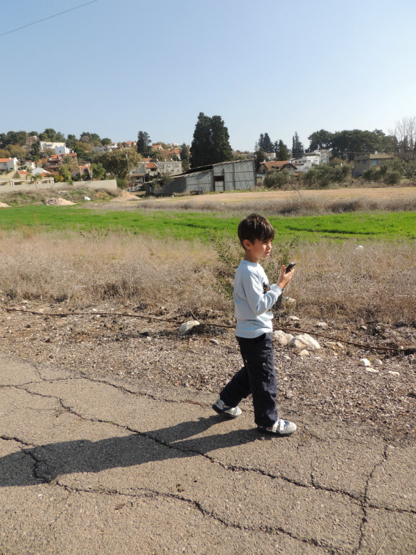 טו בשבט תשעד 2014 483