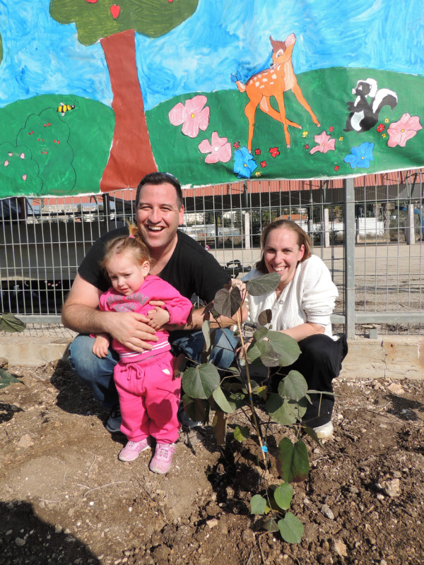 טו בשבט תשעד 2014 490