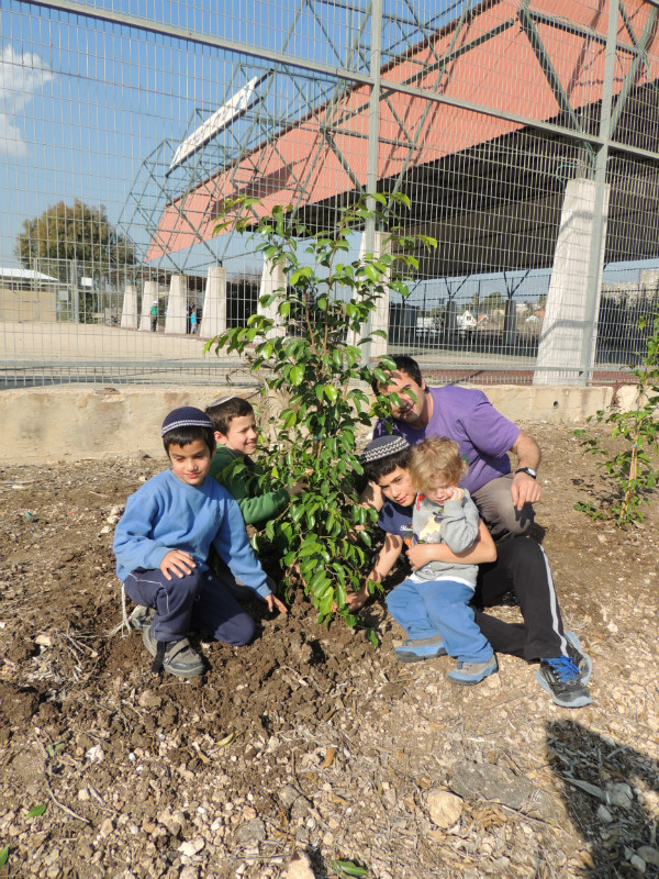 טו בשבט תשעד 2014 482