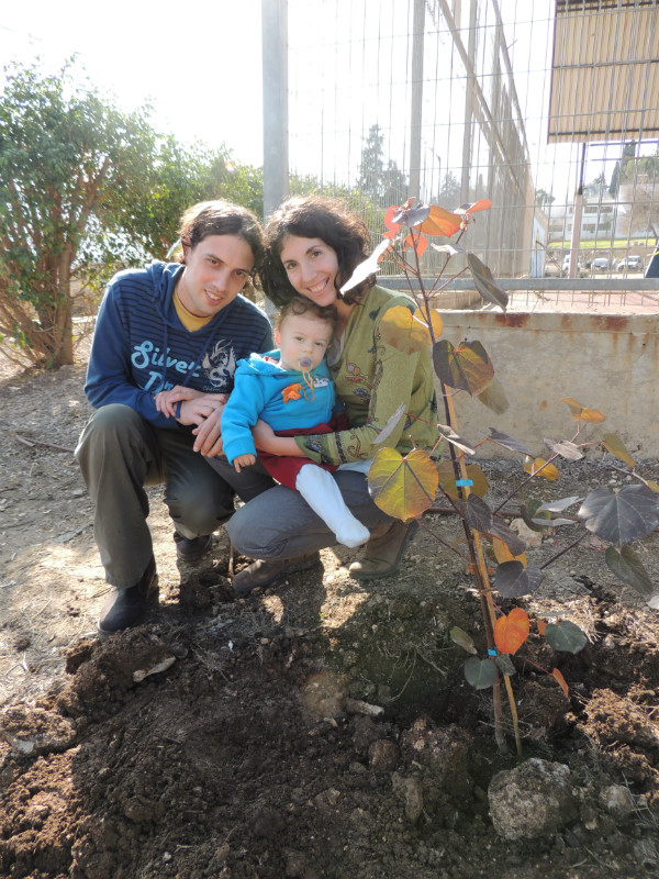 טו בשבט תשעד 2014 500