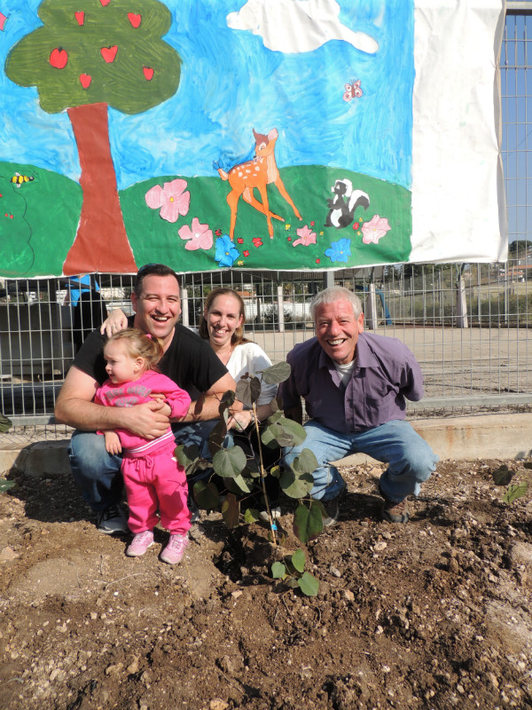 טו בשבט תשעד 2014 492