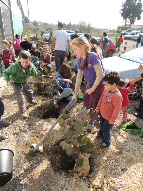 טו בשבט תשעד 2014 379