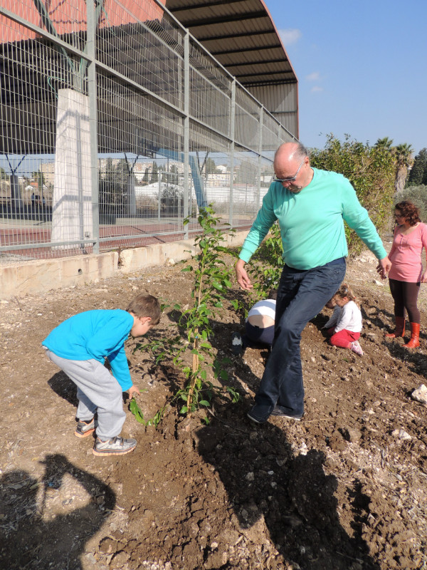 טו בשבט תשעד 2014 419