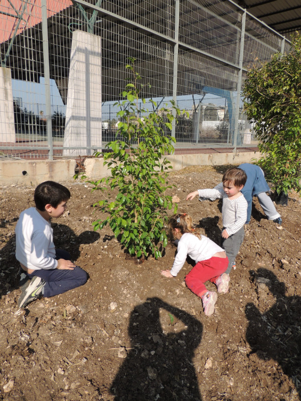 טו בשבט תשעד 2014 421