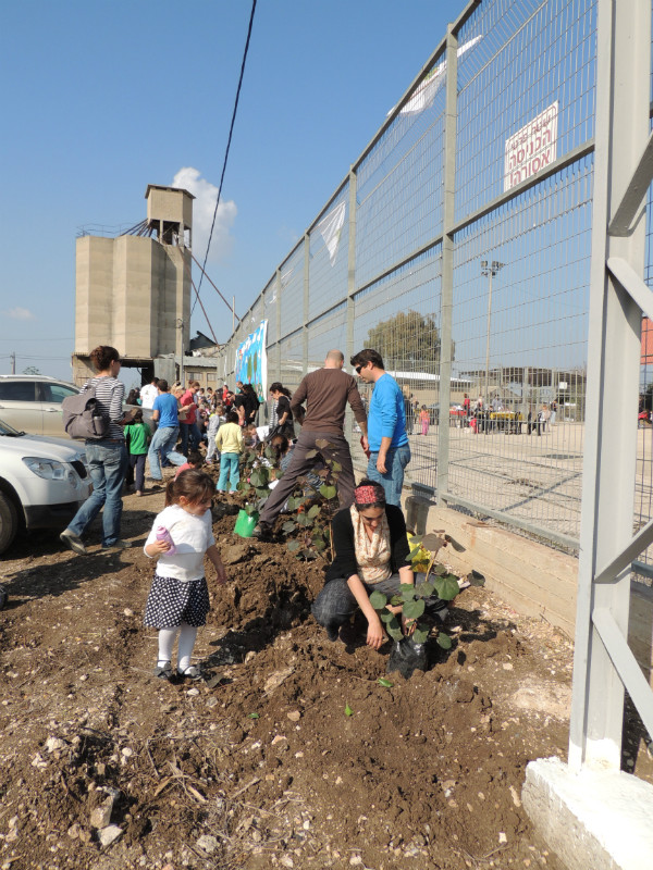 טו בשבט תשעד 2014 407