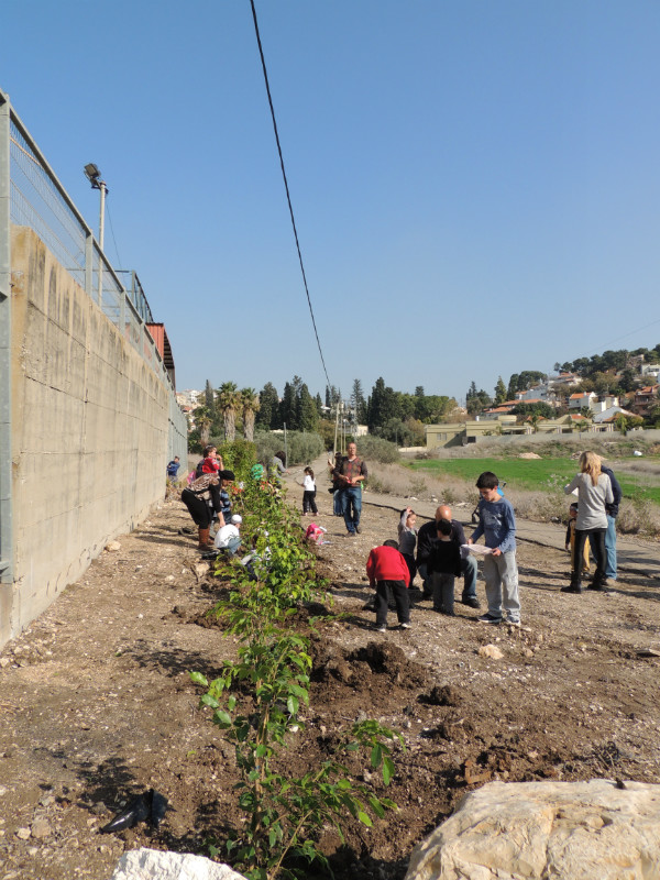 טו בשבט תשעד 2014 406