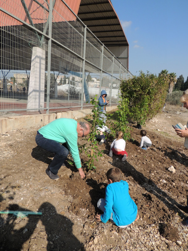 טו בשבט תשעד 2014 423