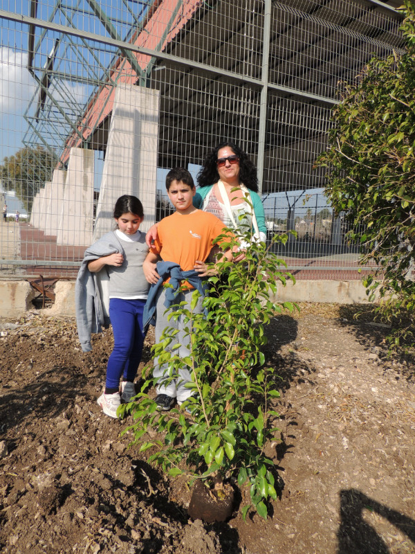 טו בשבט תשעד 2014 439