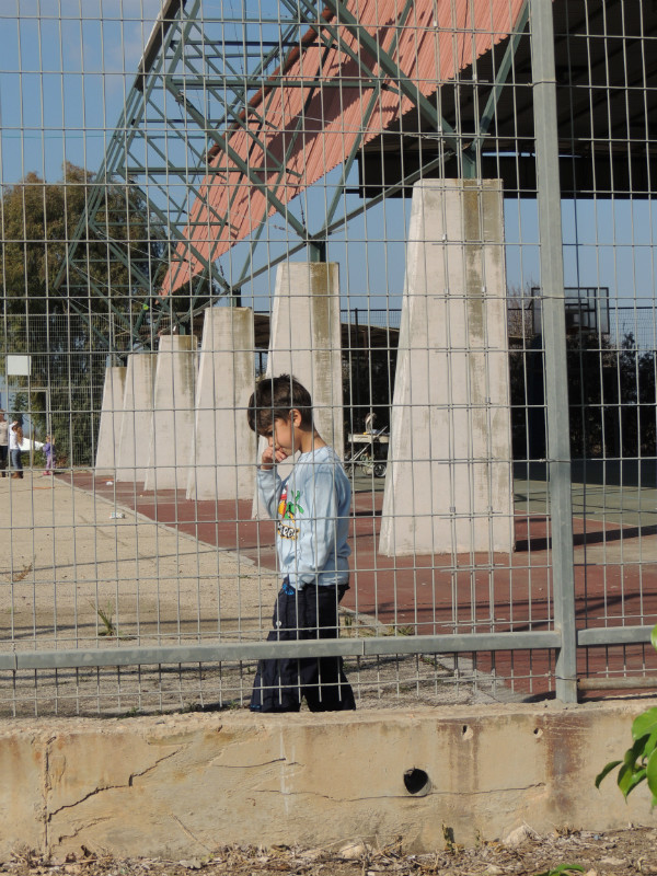 טו בשבט תשעד 2014 440