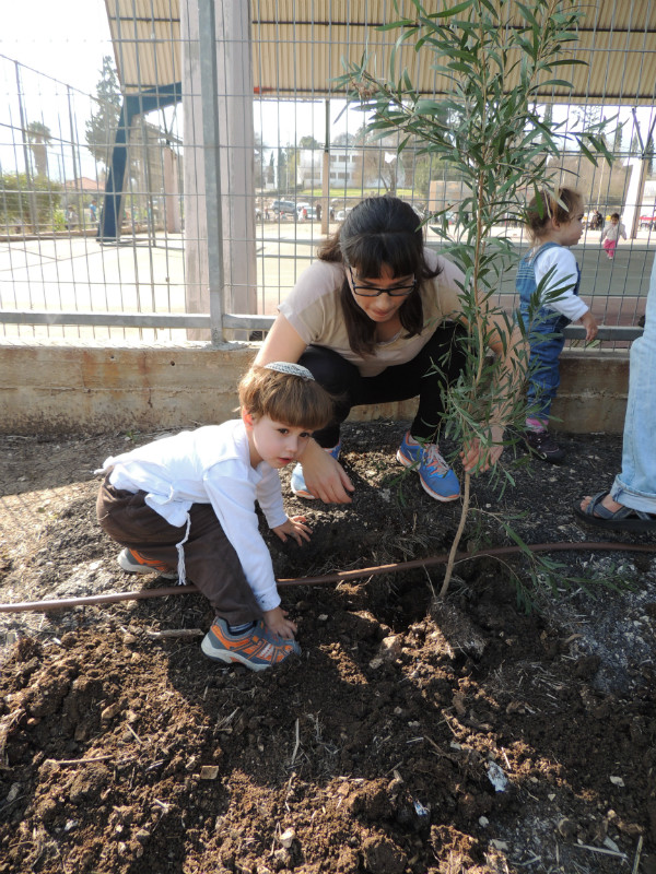 טו בשבט תשעד 2014 451