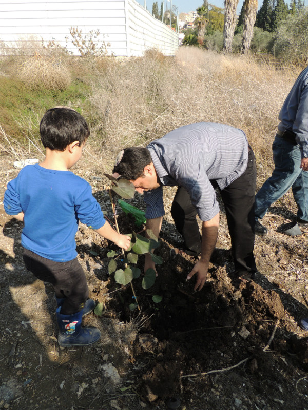 טו בשבט תשעד 2014 444