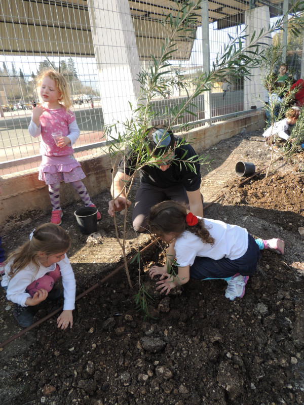 טו בשבט תשעד 2014 450