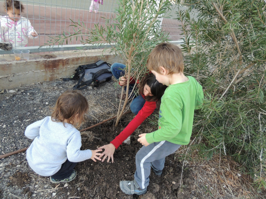 טו בשבט תשעד 2014 456