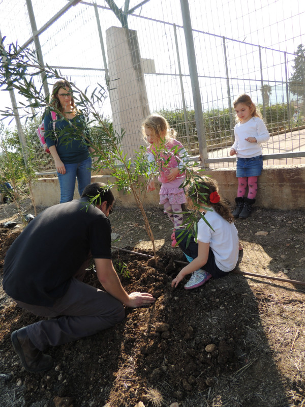 טו בשבט תשעד 2014 461