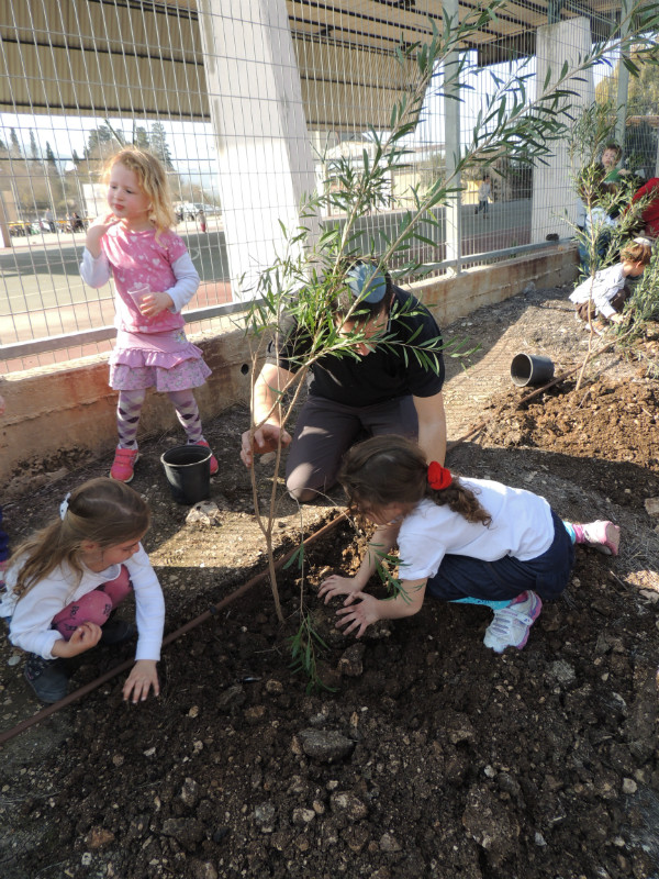 טו בשבט תשעד 2014 449