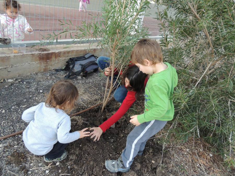 טו בשבט תשעד 2014 457