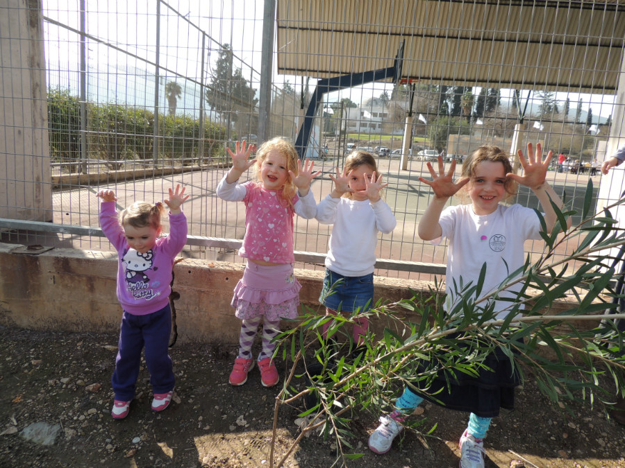 טו בשבט תשעד 2014 464