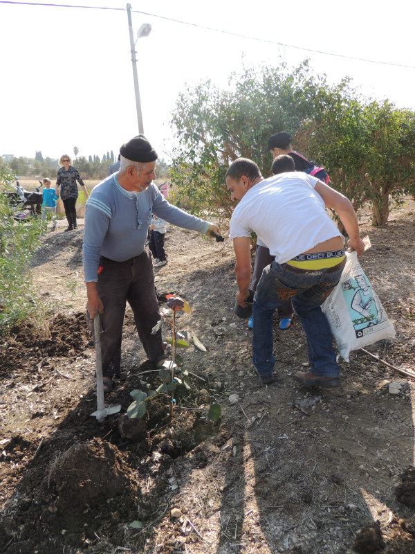 טו בשבט תשעד 2014 466