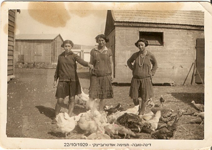 אוסטרובייצקי דינה וטובה ותמימה - 1929
