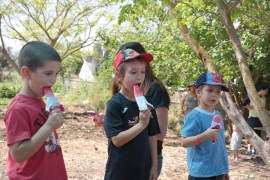 תמונות ילדי הגנים גינה הקהילתית(13 תמונות)