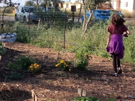 ילדי הגנים בגינה הקהילתית(27 תמונות)
