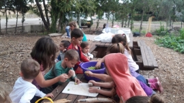 הגינה הקהילתית כפר חסידים(28 תמונות)