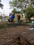 חודשי האביב בגינה הקהילתית(33 תמונות)